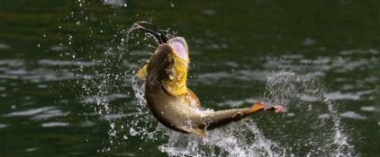 Porta il tuo bimbo a pesca!